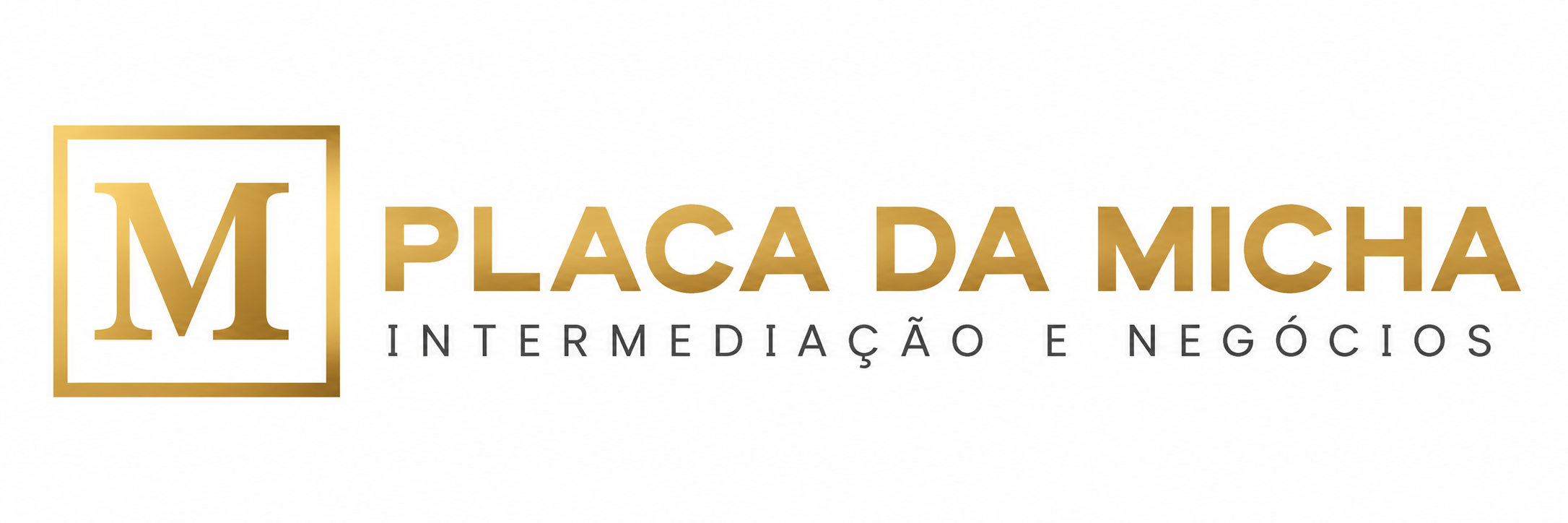 PLACA DA MICHA
